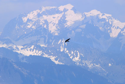 Over the Alps